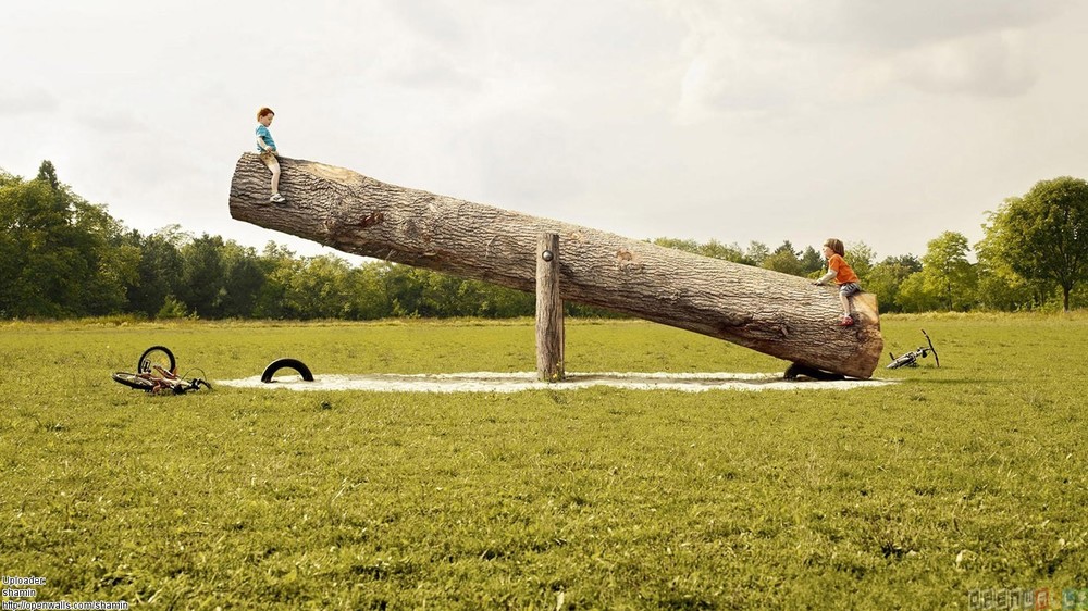 giant log seesaw
