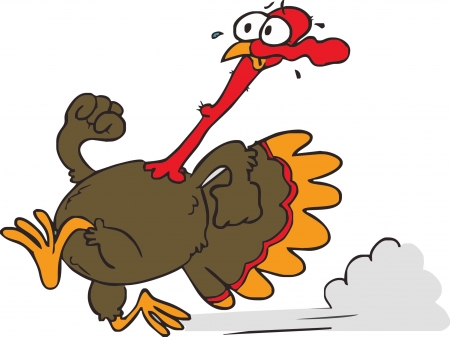 big running turkey